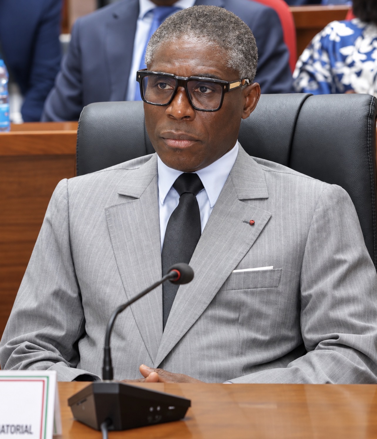 S. E. le Vice-président